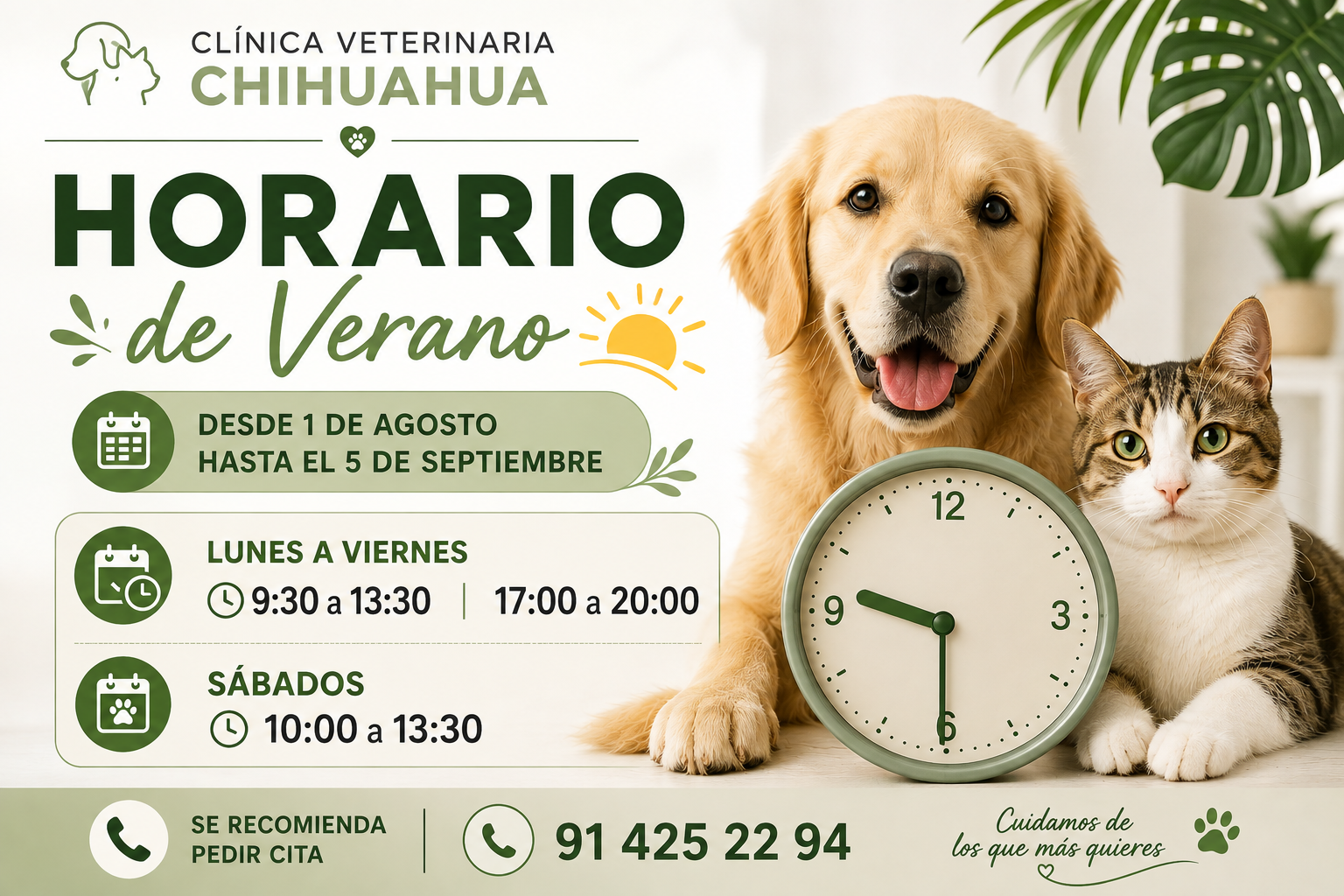 Horario de verano 2026 Clínica veterinaria Madrid Tetuán