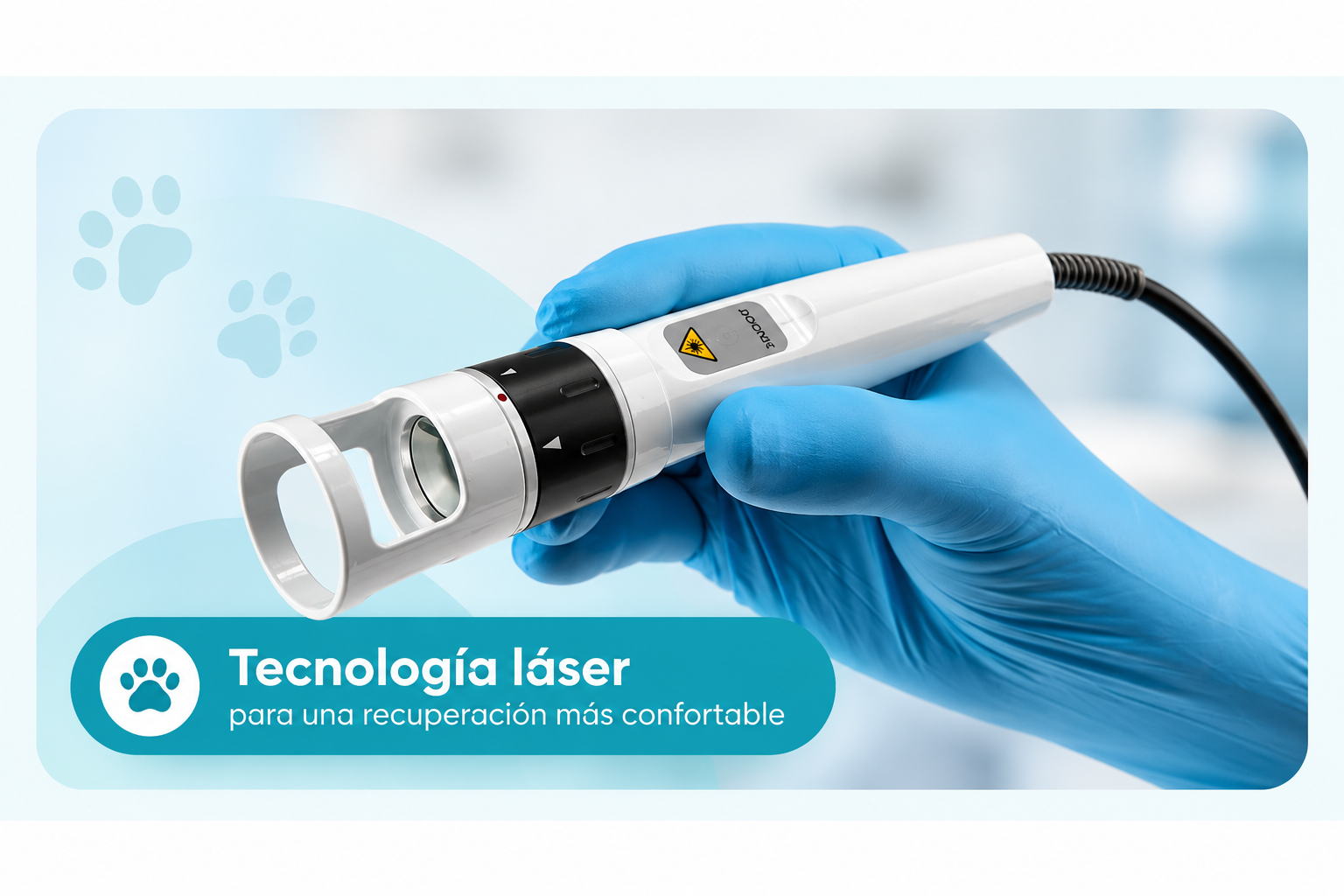 Imagen Láser Posoperatoria Campaña Esterilización